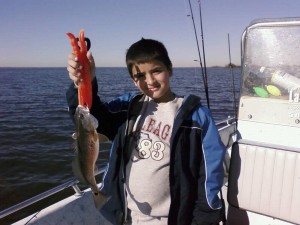 rays-first-redfish