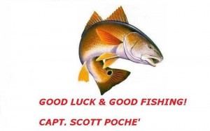 REDFISH PIC