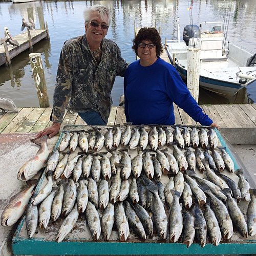 landing-75-speckled-trout-in-lafitte-new-orleans-fishing-charters